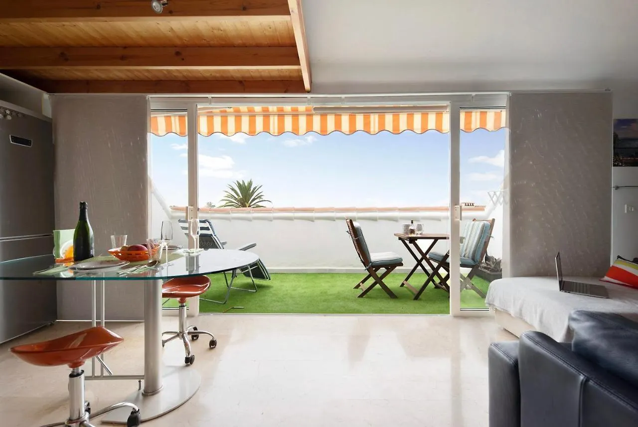 Atico Sunset Loft Terraza Y Piscina Apartment Puerto de la Cruz   Puerto de la Cruz (Tenerife)